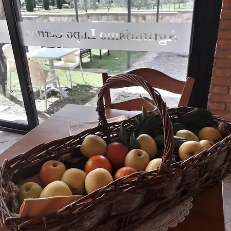 Agriturismo Lupo Cerrino Country house *