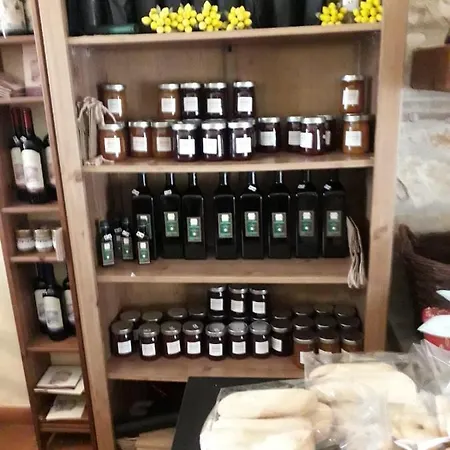 Lupo Cerrino Tarquinia