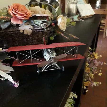 Lupo Cerrino * Tarquinia